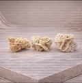 Desert Rose