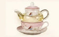 Elegant Magpie Bird Tea Cup Set with Teapot – Glass & Ceramic Tea Set