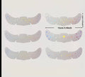 Steam Eye Mask