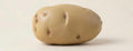 Potato Squishy Toy