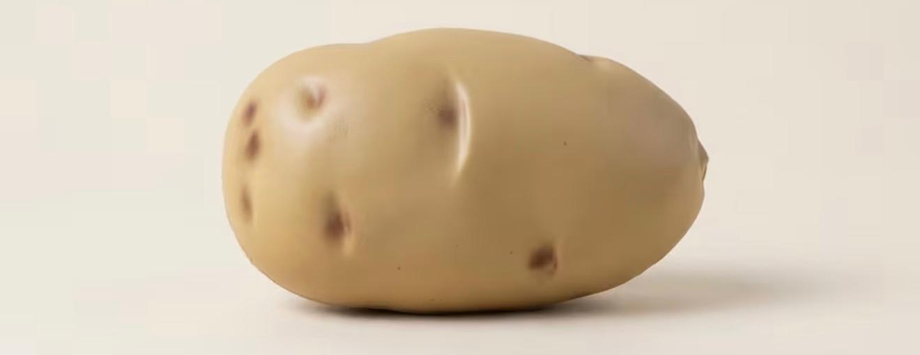 Potato Squishy Toy