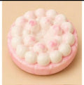 Strawberry Bubble Cake Squishy
