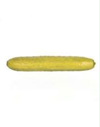 Pickle Squishy