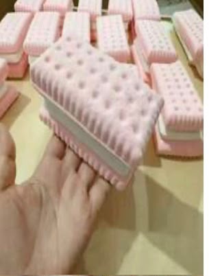 Biscuit Cake Squishy