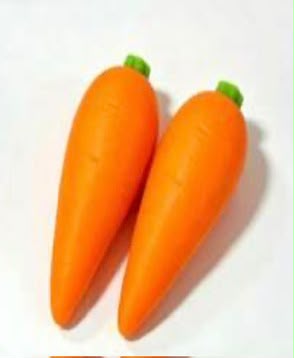 Carrot Squishy Set